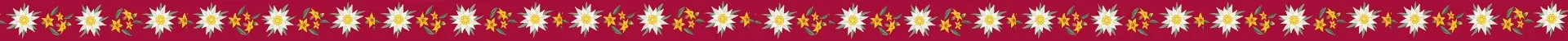 Banner Banner